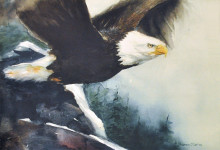 Eagle in Flight Watercolor