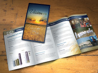 Vision 2020 Brochure